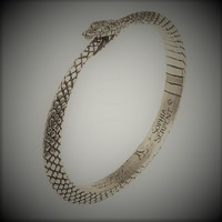 Serpent Bracelet. Photo